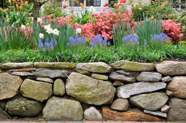 Stone Wall Hardscaping in Santa Cruz